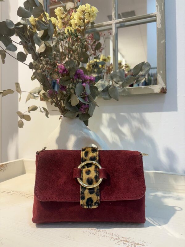 Bolso Mini Leo - Imagen 2